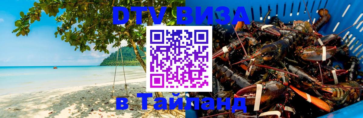 Сколько стоит DTV виза — актуальные цены, оформление даже без документов - Щёлково 